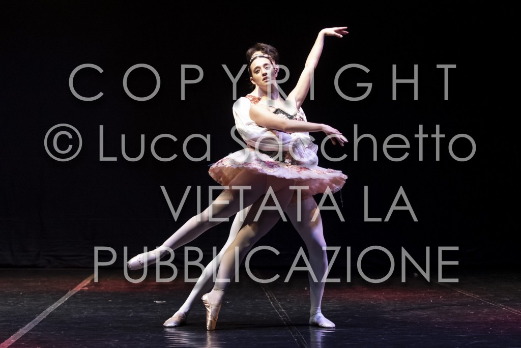 2022-SAGGIO-AUDITORIUM-1001