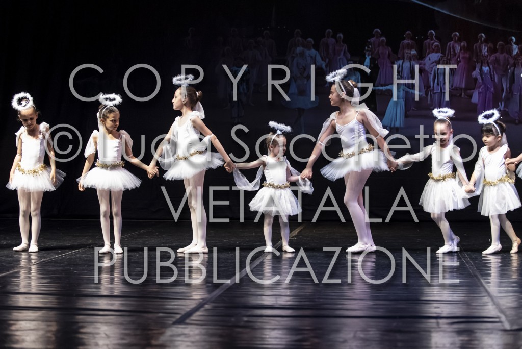 2022-SAGGIO-AUDITORIUM-1006