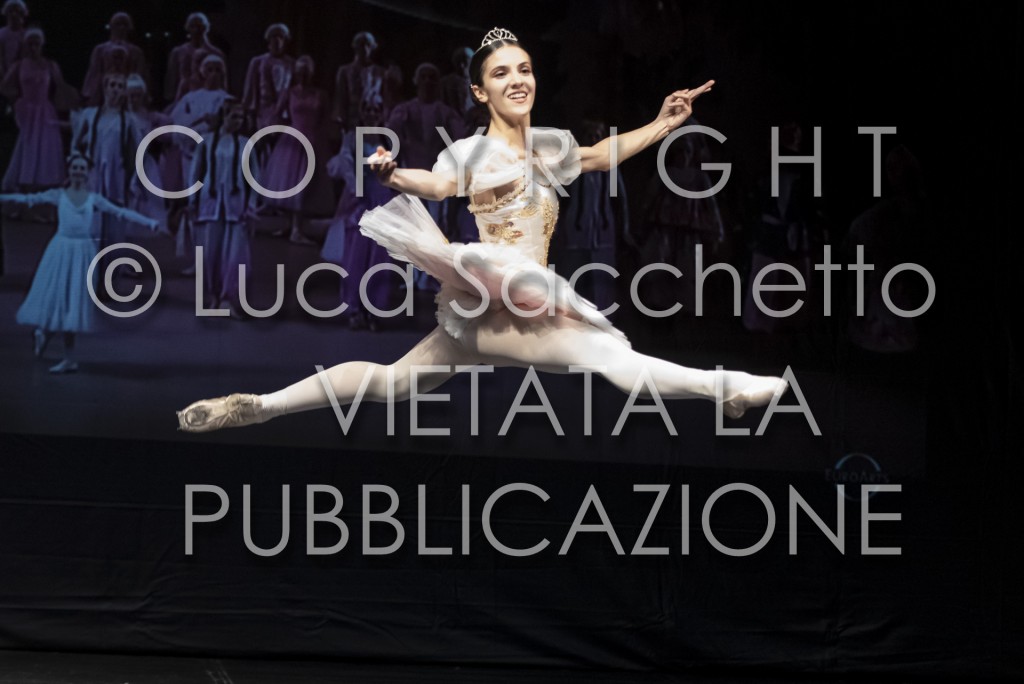 2022-SAGGIO-AUDITORIUM-1011