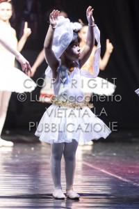 2022-SAGGIO-AUDITORIUM-1020