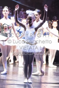2022-SAGGIO-AUDITORIUM-1021