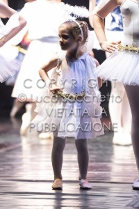 2022-SAGGIO-AUDITORIUM-1025
