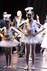 2022-SAGGIO-AUDITORIUM-1026