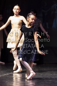 2022-SAGGIO-AUDITORIUM-284
