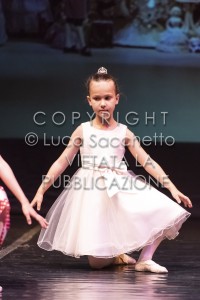 2022-SAGGIO-AUDITORIUM-309