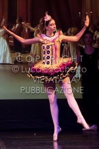 2022-SAGGIO-AUDITORIUM-413