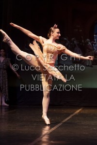 2022-SAGGIO-AUDITORIUM-420