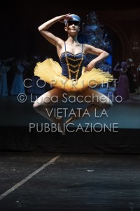 2022-SAGGIO-AUDITORIUM-429