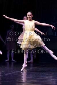2022-SAGGIO-AUDITORIUM-438