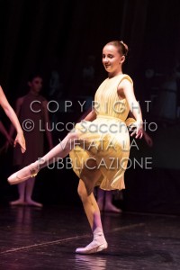 2022-SAGGIO-AUDITORIUM-453