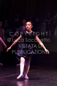 2022-SAGGIO-AUDITORIUM-457