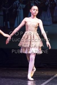 2022-SAGGIO-AUDITORIUM-459