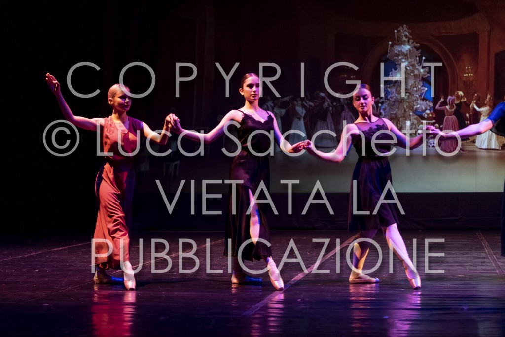 2022-SAGGIO-AUDITORIUM-491
