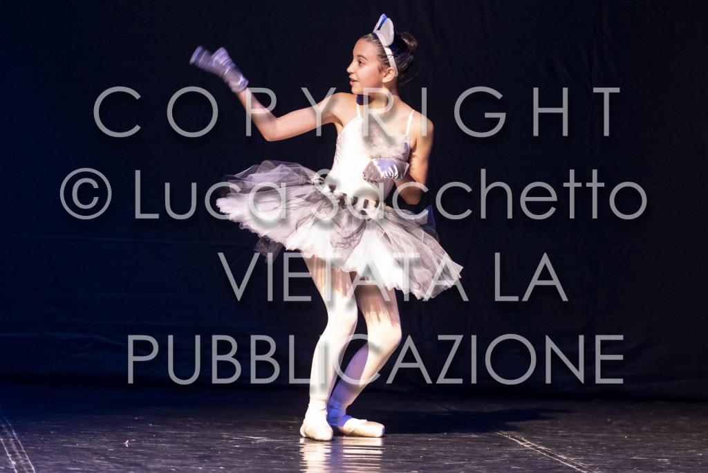 2022-SAGGIO-AUDITORIUM-494