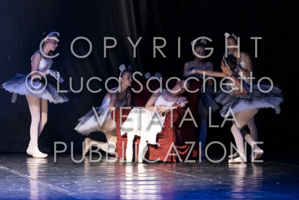2022-SAGGIO-AUDITORIUM-495
