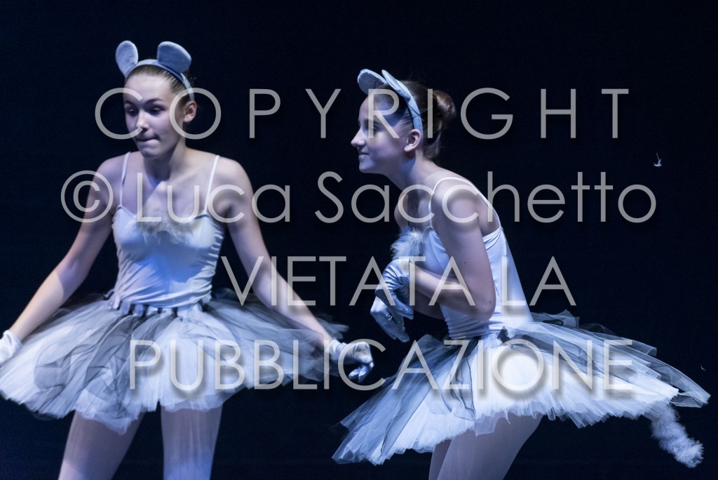 2022-SAGGIO-AUDITORIUM-498