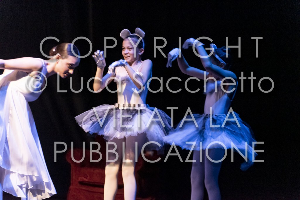 2022-SAGGIO-AUDITORIUM-499