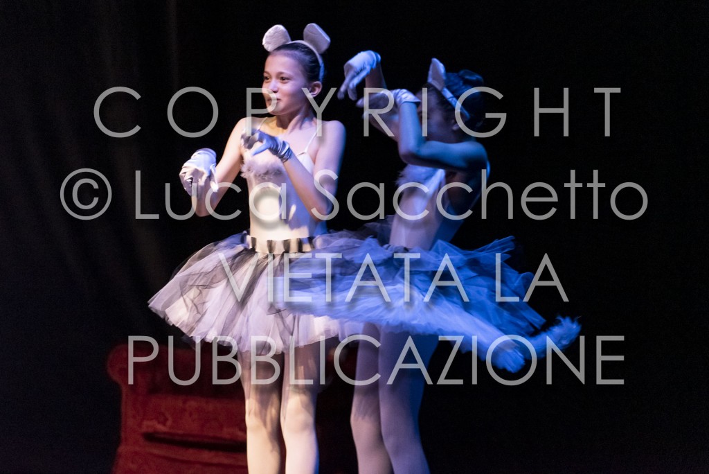 2022-SAGGIO-AUDITORIUM-500