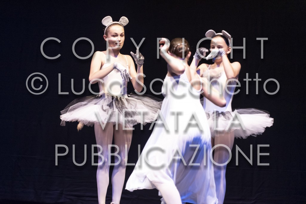 2022-SAGGIO-AUDITORIUM-501