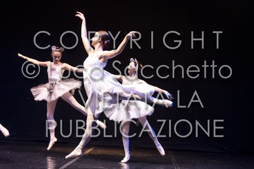 2022-SAGGIO-AUDITORIUM-503