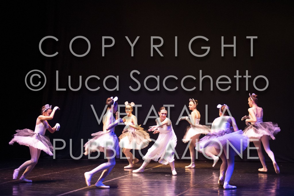 2022-SAGGIO-AUDITORIUM-505