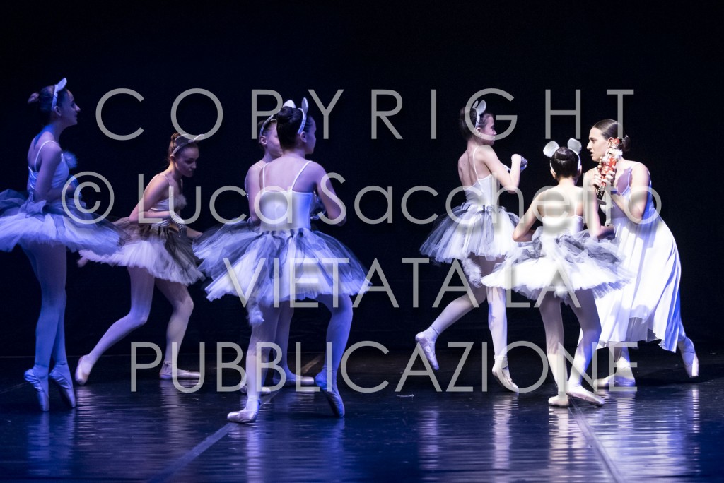 2022-SAGGIO-AUDITORIUM-507