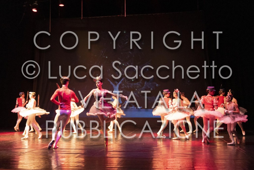 2022-SAGGIO-AUDITORIUM-539