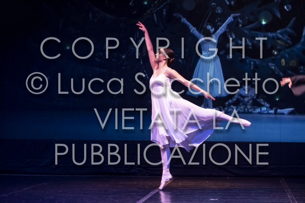 2022-SAGGIO-AUDITORIUM-552