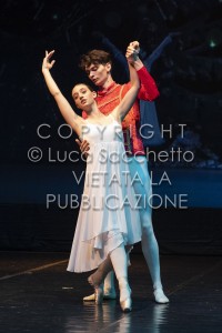 2022-SAGGIO-AUDITORIUM-568