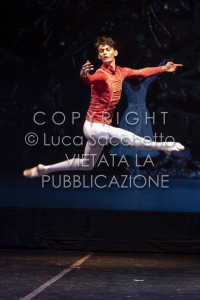 2022-SAGGIO-AUDITORIUM-576