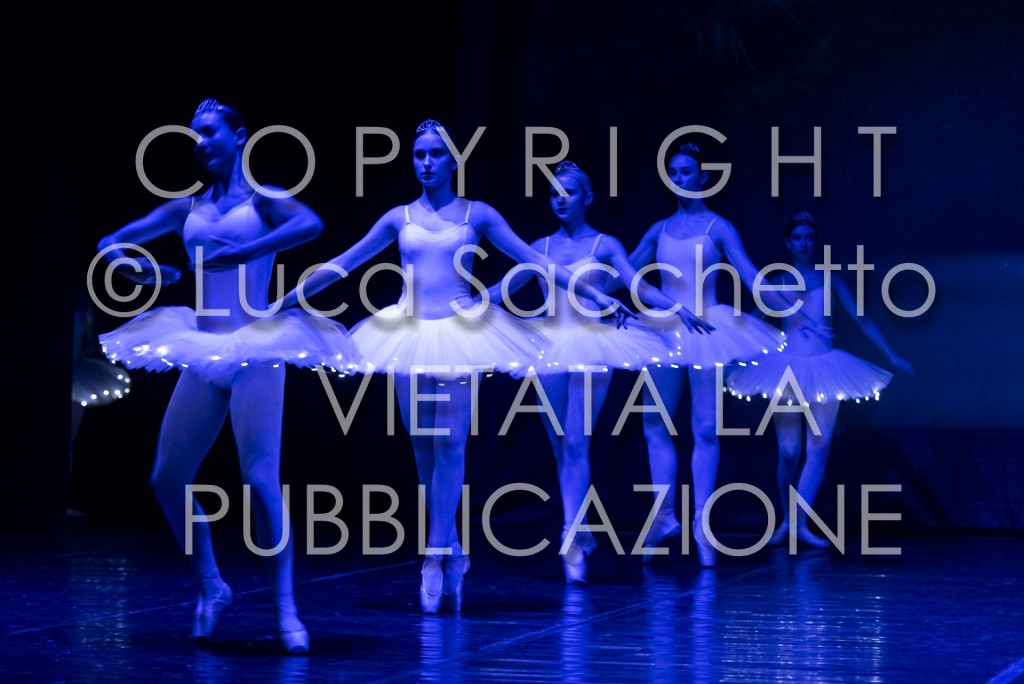 2022-SAGGIO-AUDITORIUM-588