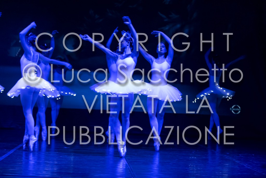 2022-SAGGIO-AUDITORIUM-590