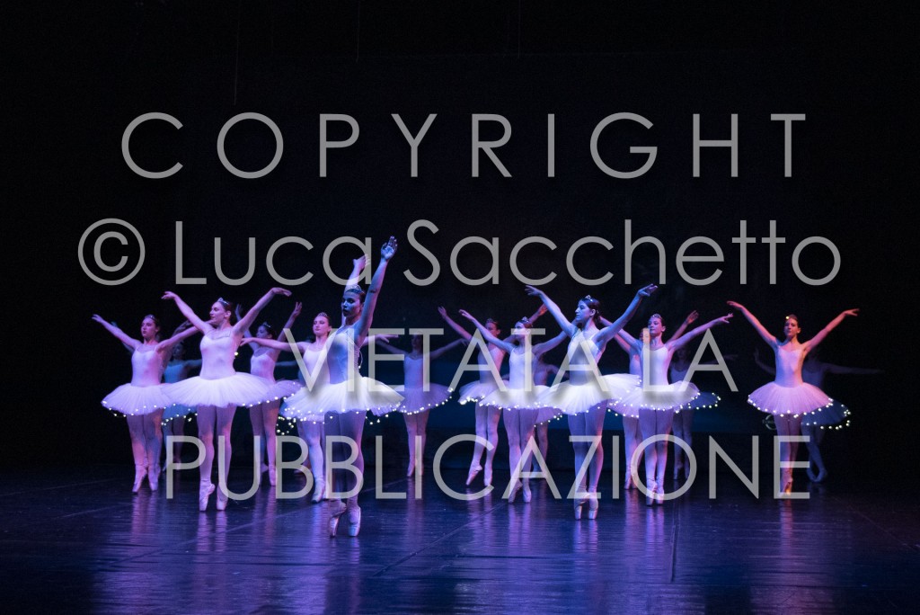 2022-SAGGIO-AUDITORIUM-594