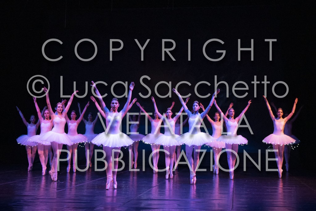 2022-SAGGIO-AUDITORIUM-595