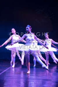 2022-SAGGIO-AUDITORIUM-597