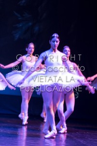 2022-SAGGIO-AUDITORIUM-598