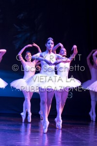 2022-SAGGIO-AUDITORIUM-599