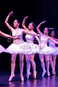 2022-SAGGIO-AUDITORIUM-604