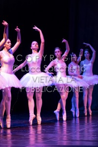 2022-SAGGIO-AUDITORIUM-605