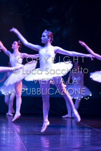 2022-SAGGIO-AUDITORIUM-611