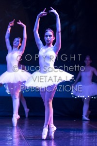 2022-SAGGIO-AUDITORIUM-613