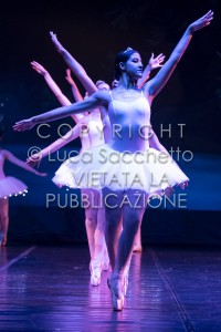 2022-SAGGIO-AUDITORIUM-617