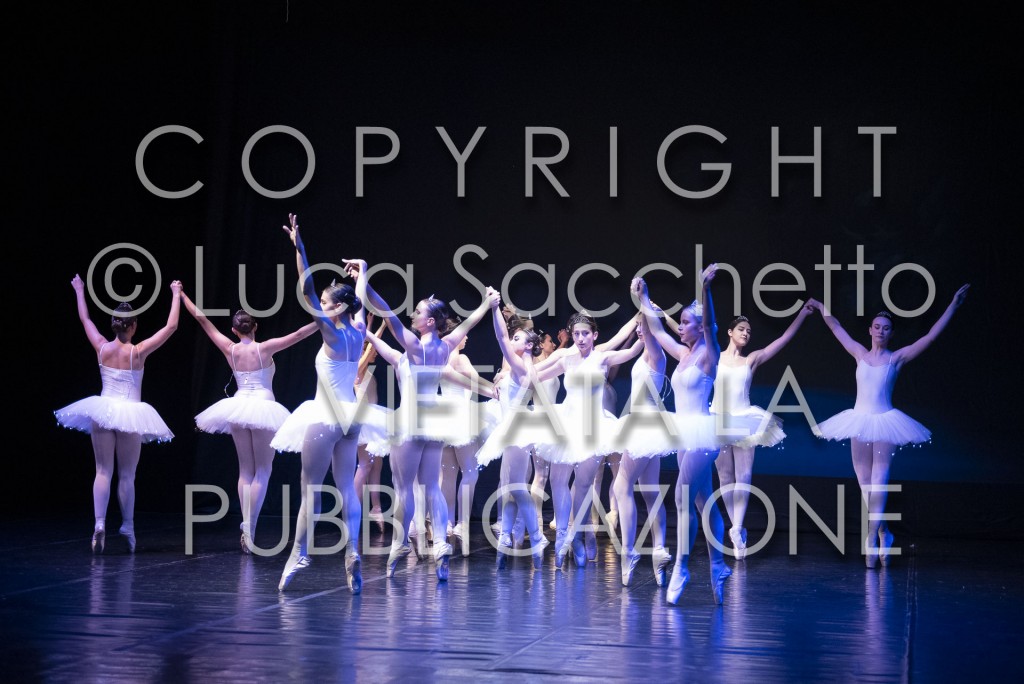 2022-SAGGIO-AUDITORIUM-628
