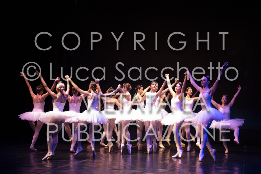 2022-SAGGIO-AUDITORIUM-629