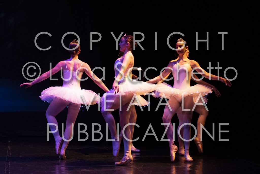 2022-SAGGIO-AUDITORIUM-636