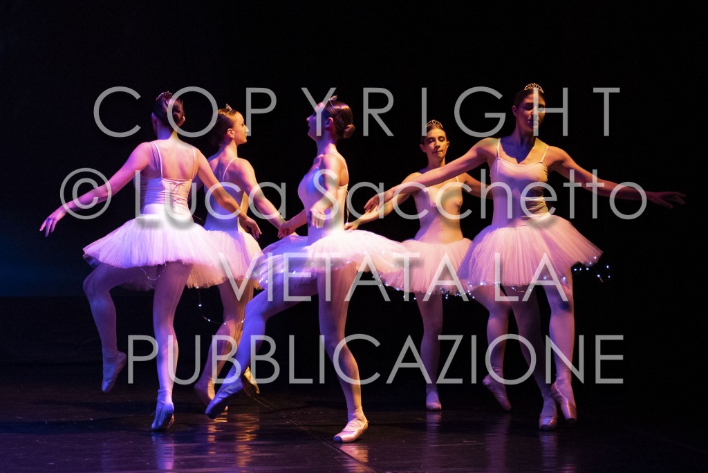 2022-SAGGIO-AUDITORIUM-638