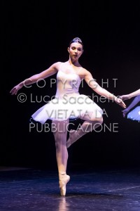 2022-SAGGIO-AUDITORIUM-641