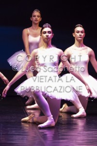 2022-SAGGIO-AUDITORIUM-647