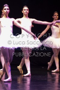 2022-SAGGIO-AUDITORIUM-648