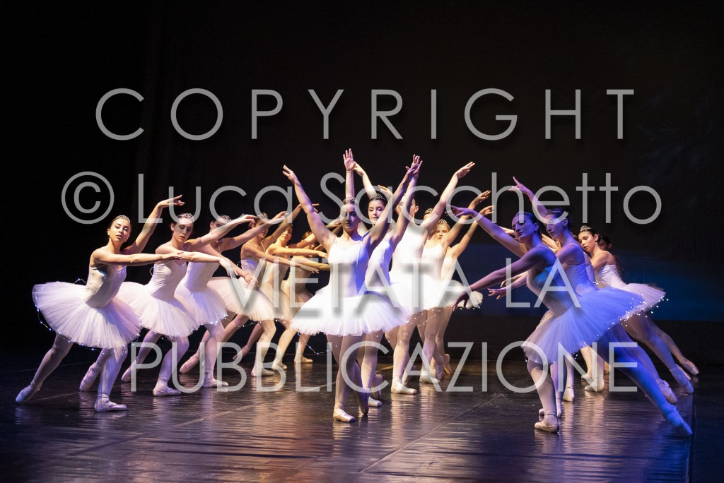2022-SAGGIO-AUDITORIUM-659